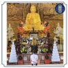 Bộ khay bày nước hình tháp vuông