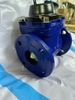 Đồng hồ nước dẫn động từ FG (Trung Đức) DN65