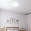 200W - Đèn Ốp Trần Năng Lượng Mặt Trời Mayorwolf