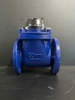 Đồng hồ nước dẫn động từ FG (Trung Đức) DN65