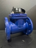 Đồng hồ nước dẫn động từ FG (Trung Đức) DN80