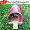Bẫy chuột thông minh cửa 1 chiều, bẫy 1 lần là cả đàn, có vào không có ra