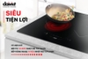 Bếp từ hồng ngoại đôi kết hợp Đại Việt DVC-200002