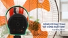 DTS1609 - Quạt đứng thân sắt lồng mạ Crom Senko 5 cánh