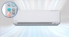 Máy lạnh Daikin 1.5 HP FTV35BXV1