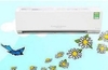 Máy Lạnh Mitsubishi Electric MS-HP50VF (2.0 Hp)