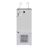 Máy nước uống nóng lạnh lọc nước trực tiếp HC-450H