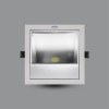 PRDXX176L30 - ĐÈN LED DOWNLIGHT CHIẾU TRANH 30W ÂM TRẦN