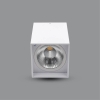 PSDLL182L25 - ĐÈN LED DOWNLIGHT 25W GẮN NỔI