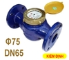 Đồng hồ nước 75mm - Có Hiệu Chuẩn (DN65)