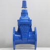 VAN CỔNG TY CHÌM NẮP CHỤP SHINYI (DN50-DN300)