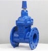 VAN CỔNG TY CHÌM NẮP CHỤP SHINYI (DN50-DN300)