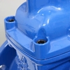 VAN CỔNG TY CHÌM NẮP CHỤP SHINYI (DN50-DN300)