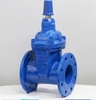 VAN CỔNG TY CHÌM NẮP CHỤP SHINYI (DN50-DN300)