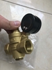 Van giảm áp ren 21mm kèm đồng hồ