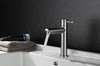 Vòi lavabo lạnh inox 304 mờ cao 17cm - 30cm đầu điếu