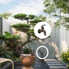 Vòi vườn tay gạt kiểu cổ Trung Hoa đầu rồng - vòi hồ tay gạt kiểu cổ Châu Âu