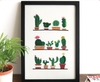 Set thêu hiện đại mẫu xương rồng