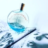 Hermes Eau Des Merveilles Bleue EDT