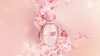 Bvlgari Rose Goldea