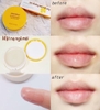 Mặt nạ ngủ môi Innisfree mật ong/trà xanh