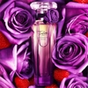 Nước hoa Lancome Midnight Rose 75ml
