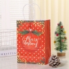 Túi giấy carton in hình các loại