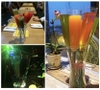 Set  ly  rượu cocktail