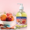 Nước rửa tay Santis hương đào