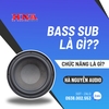 Bass Sub Là Gì? Bass Full Là Gì? Kinh Nghiệm Chọn Loa Bass Phù Hợp Nhất