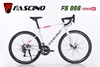 Xe đạp đua fascino 866