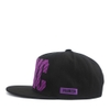 Snapback BSXC/PURPLE  P31 - M