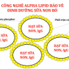Sữa non Immufort Ultraboost Colostrum 60 Viên – Alpha Lipid