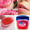 Dưỡng môi Vaseline 7g