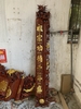 cuon-thu-cau-doi-mai-hoa-go-gu
