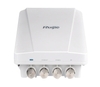Thiết bị phát sóng wifi ngoài trời RUIJIE RG-AP630 (IODA)