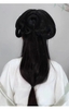 Búi tóc cổ trang nhiều kiểu tạo kiểu tóc hanfu kiếm hiệp trung quốc - TOC27