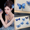 set 7 ghim cài bướm xanh lam chụp ảnh studio concept cô dâu trung hoa - cd276