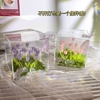 hộp đèn ngủ vườn hoa tulip bướm gói vật liệu 10 bông - HM10