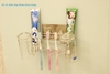 gia-treo-ban-chai-danh-rang-dinh-sieu-chac-inox-khong-gi-set