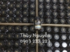 Viên uống Go Healthy Hàu đen 120v