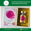 Tế Bào Gốc Horse Placenta ＋Damask Rose