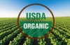 Gengreen - Thương hiệu mỹ phẩm hữu cơ đạt Chứng nhận USDA