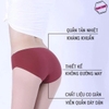 Quần lót cotton cao cấp 21252