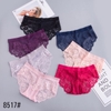 Combo 5 quần lót ren 8517