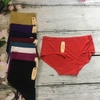 Combo 5 quần lót đúc 1523