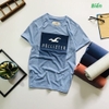 Áo HOLLISTER cổ tròn