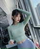 Áo tập crop tay dài lưới ngực