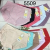 Combo 5 quần lót cotton trơn 5509