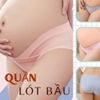 Combo 5 quần lót bà bầu cotton